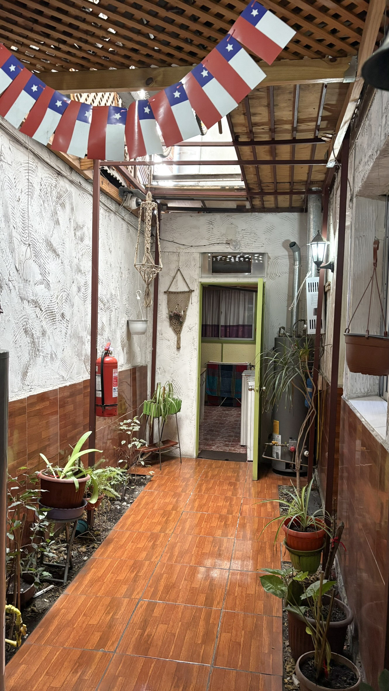 El patio con jardín